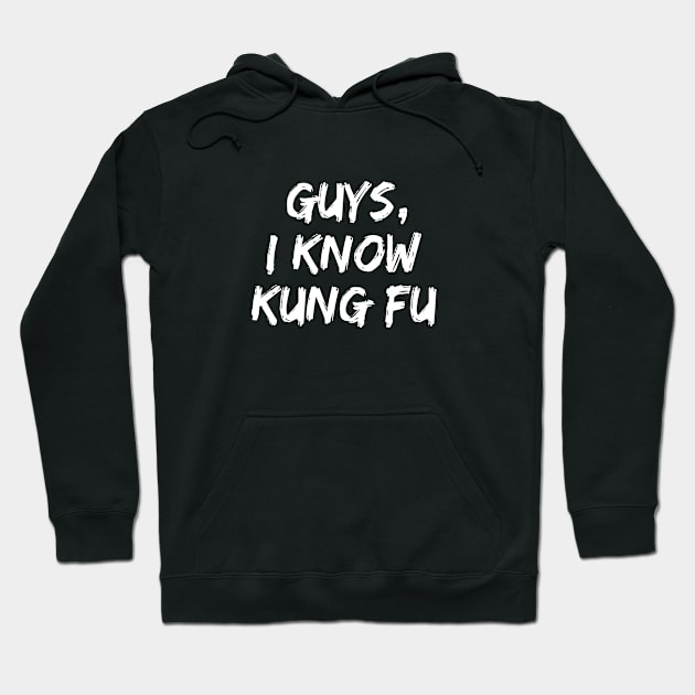 Guys I Know Kung Fu Chuck Hoodie by rainoree